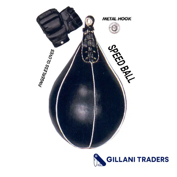 Last Punch Heavy Duty Speed Ball + Gloves & Metal Hook Brand New